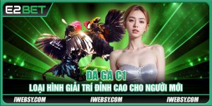 Đá Gà C1 - Loại Hình Giải Trí Đỉnh Cao Cho Người Mới