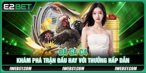 Đá Gà C4 - Khám Phá Trận Đấu Hay Với Thưởng Hấp Dẫn