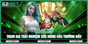 Đá Gà ICF - Tham Gia Trải Nghiệm Sức Nóng Của Trường Đấu