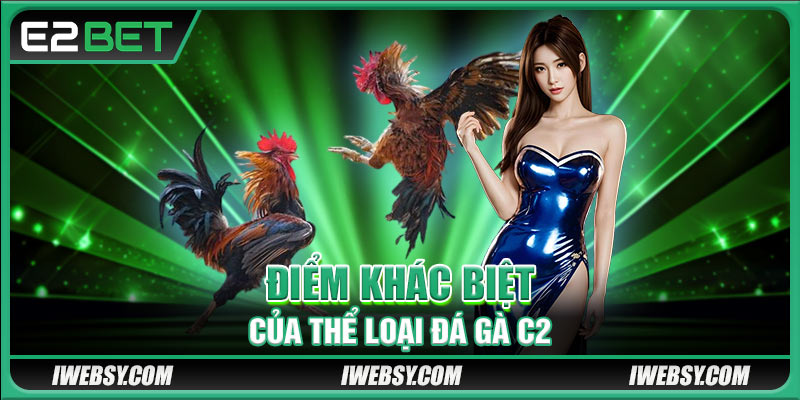 Đá Gà C2 Là Gì? Bí Quyết Ăn Tiền Thật Và Mẹo Thực Chiến Tại Nhà Cái E2BET 3 Điểm khác biệt của thể loại đá gà C2