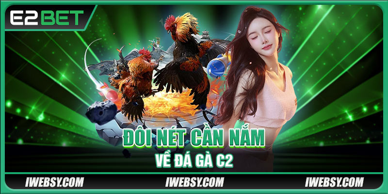 Đá Gà C2 Là Gì? Bí Quyết Ăn Tiền Thật Và Mẹo Thực Chiến Tại Nhà Cái E2BET 2 Đôi nét cần nắm về đá gà C2