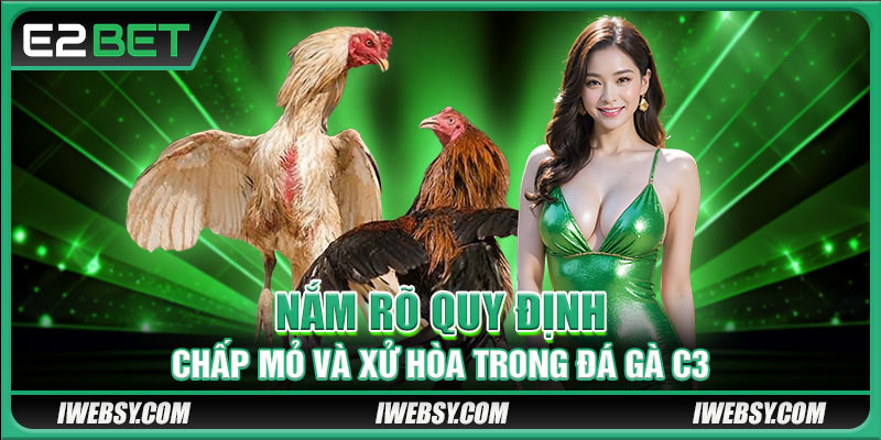 Đá Gà C3 - Giải Đấu Đá Gà E2BET Gay Cấn Hội Tụ 30+ Trận Đấu Đỉnh Cao 3 Nắm rõ quy định chấp mỏ và xử hòa trong đá gà C3