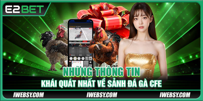 Những thông tin khái quát nhất về sảnh đá gà CFE