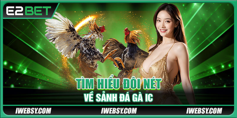 Tìm hiểu đôi nét về sảnh chơi đá gà ICF E2BET