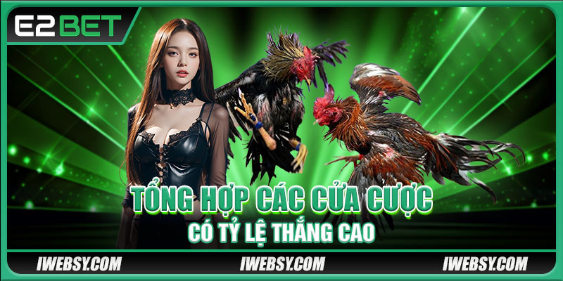 Đá Gà C3 - Giải Đấu Đá Gà E2BET Gay Cấn Hội Tụ 30+ Trận Đấu Đỉnh Cao 4 Tổng hợp các cửa cược có tỷ lệ thắng cao
