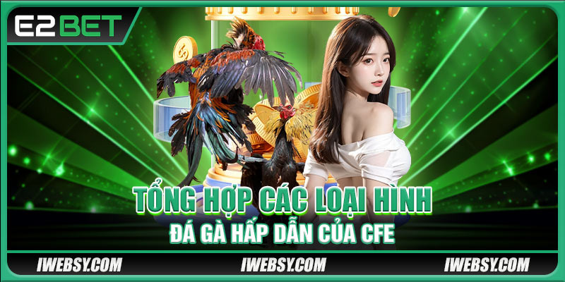 Tổng hợp các loại hình đá gà hấp dẫn của CFE